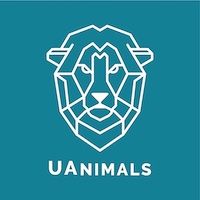 wireframe image of lion face